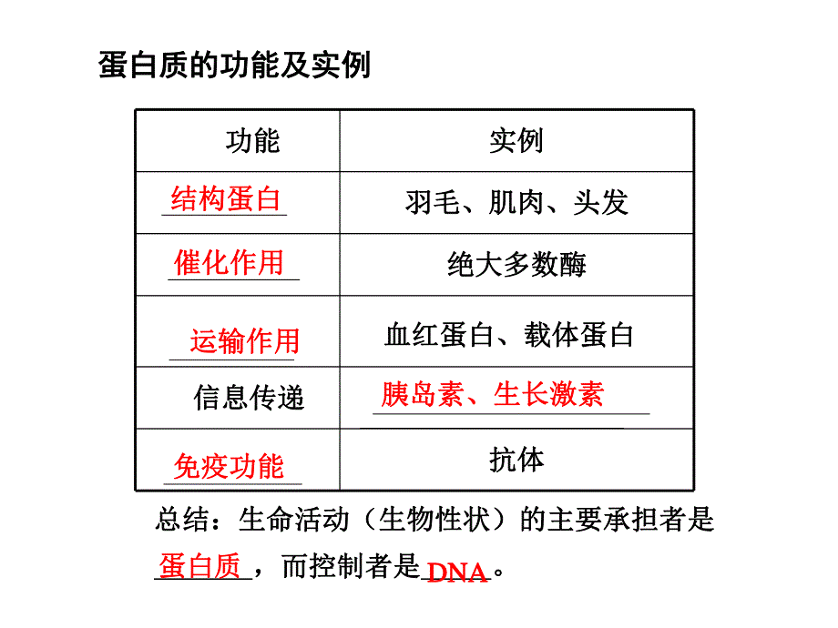 第3课时蛋白质.ppt_第3页