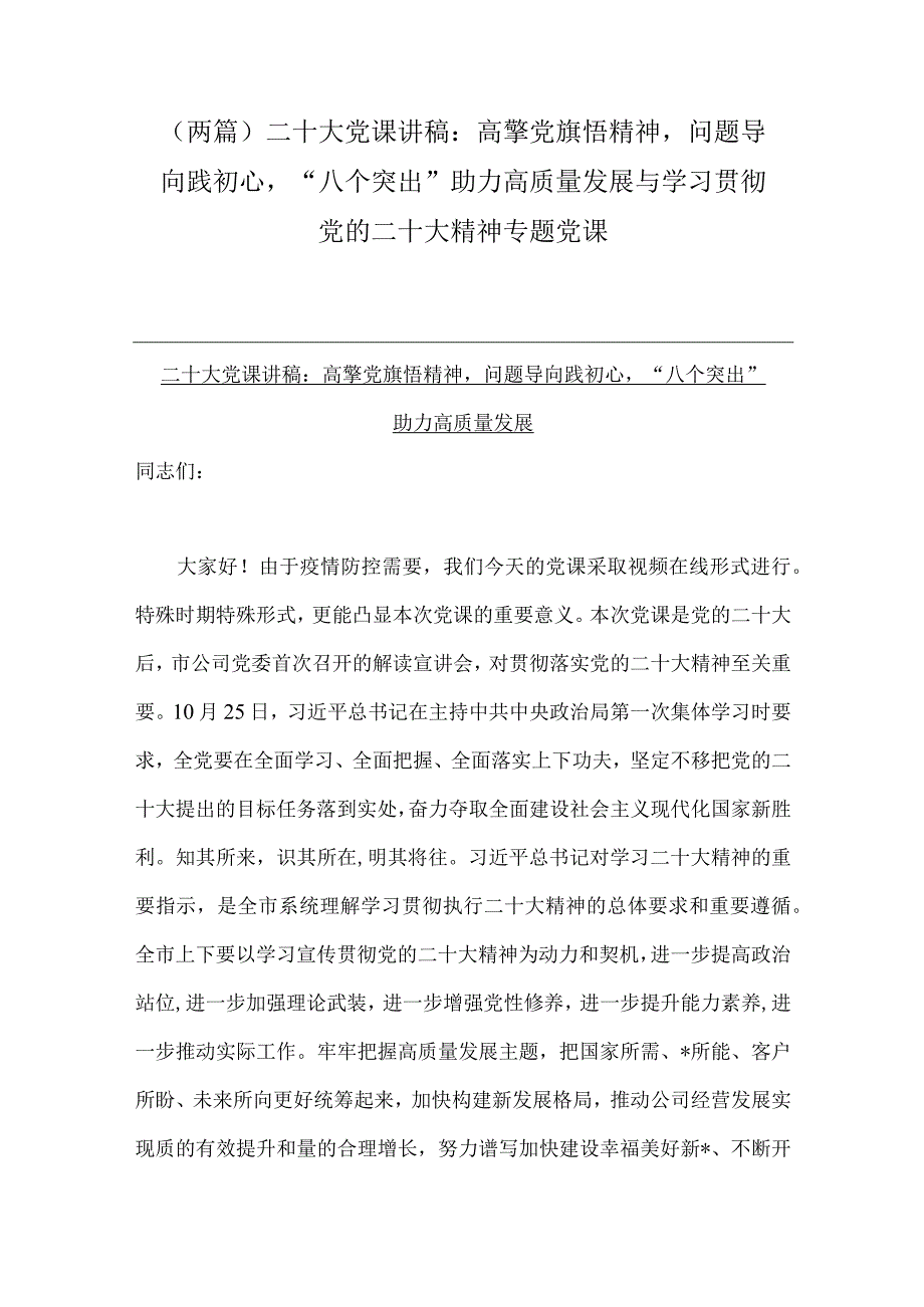 （两篇）二十大党课讲稿：高擎党旗悟精神问题导向践初心“八个突出”助力高质量发展与学习贯彻党的二十大精神专题党课.docx_第1页