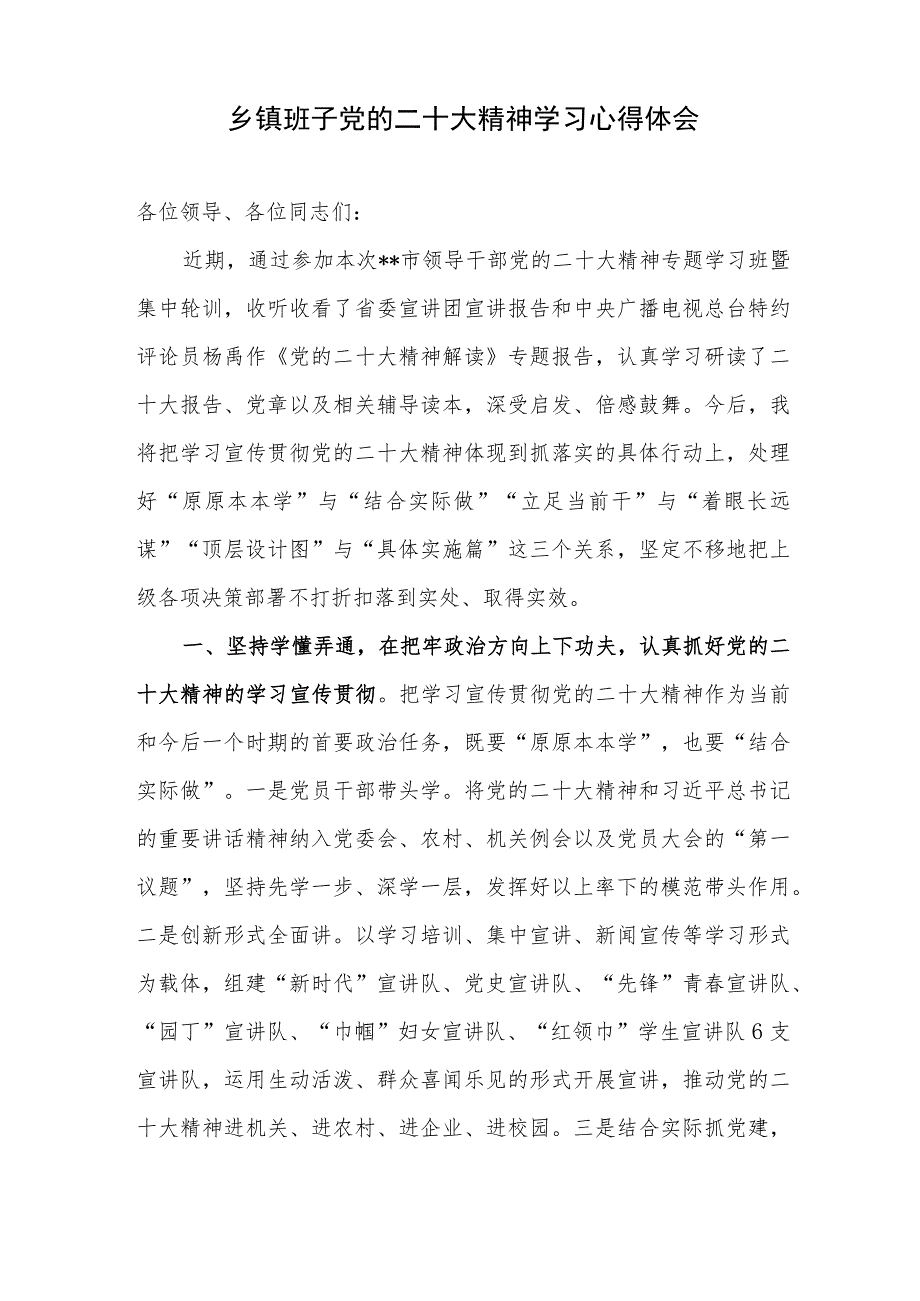 乡镇党员干部贯彻落实二十大精神心得体会研讨发言15篇.docx_第2页