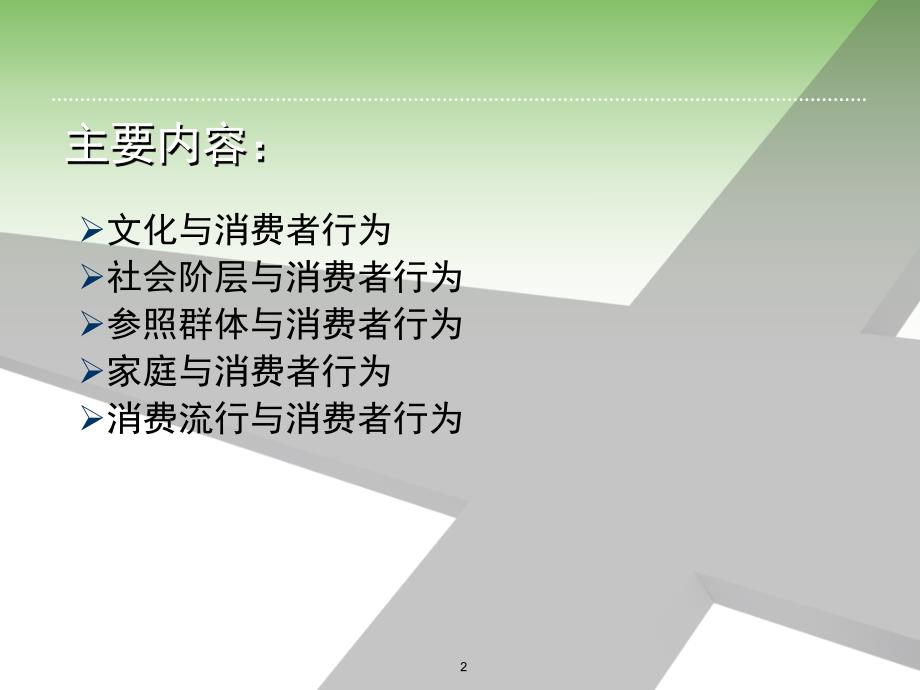 第6章文化对消费者行为的影响.ppt_第2页