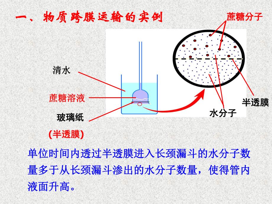 第7讲细胞的物质输入和输出名师编辑PPT课件.ppt_第2页