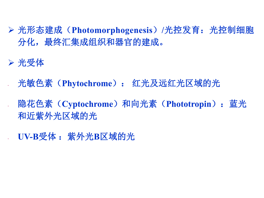 第7章光形态建成.ppt_第2页