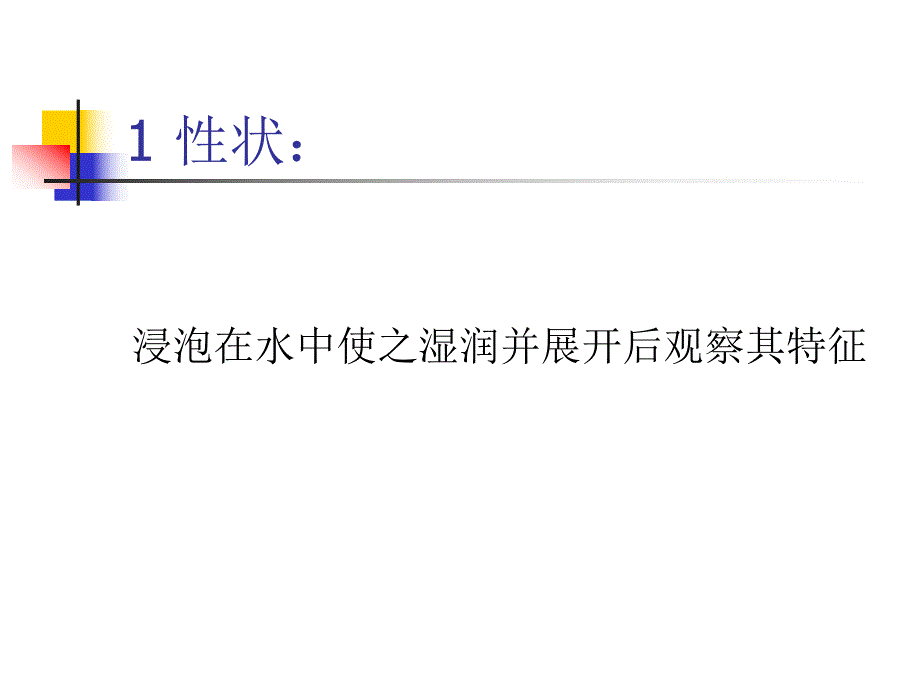 第8章叶类中药名师编辑PPT课件.ppt_第2页