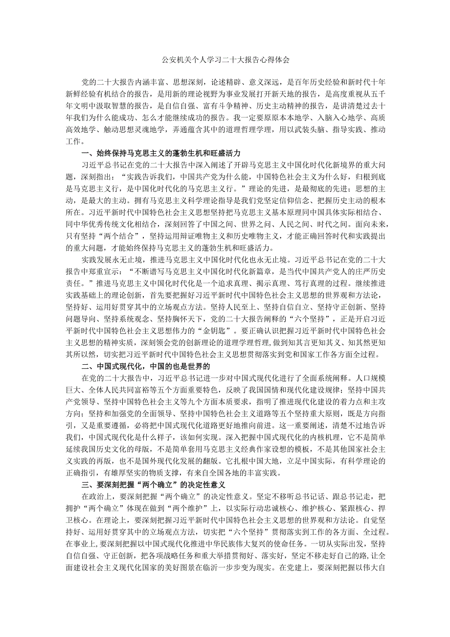 公安系统个人学习二十大报告心得体会.docx_第1页