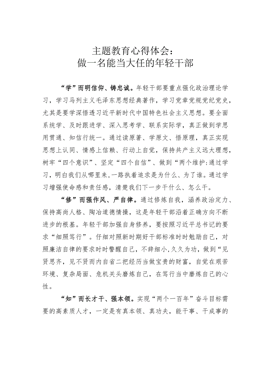 主题教育心得体会：做一名能当大任的年轻干部.docx_第1页