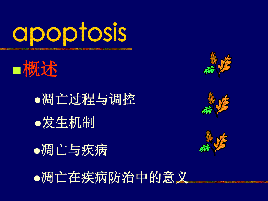 第7章细胞凋亡与疾病名师编辑PPT课件.ppt_第2页