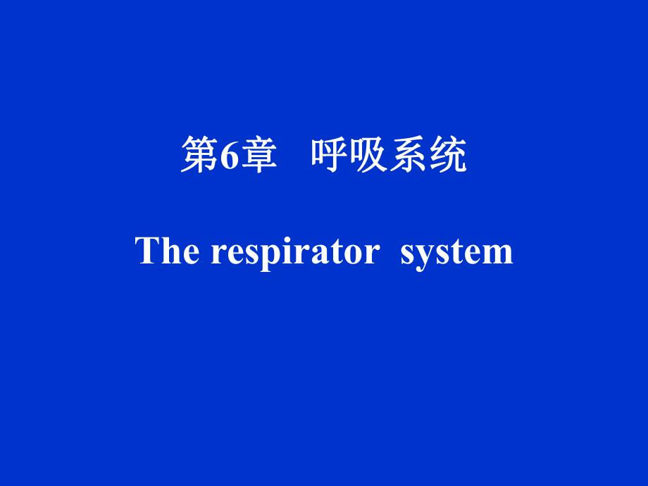 第6章呼吸系统Therespiratorsystem名师编辑PPT课件.ppt_第1页