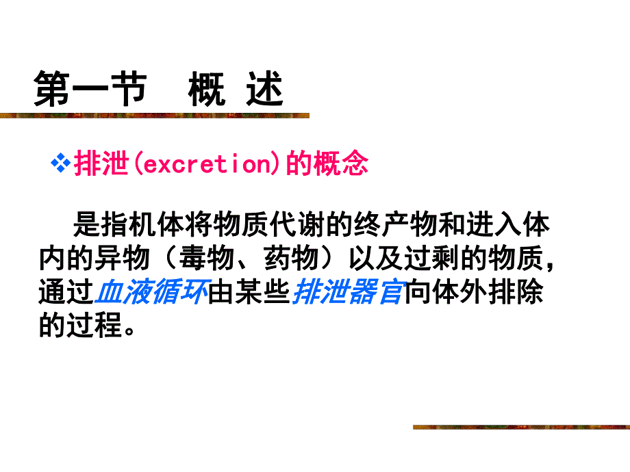 第8章尿的生成和排出郑煜版.ppt_第3页