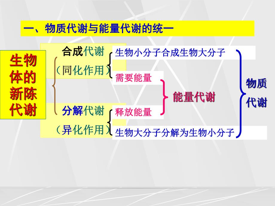 第6章糖代谢.ppt_第3页