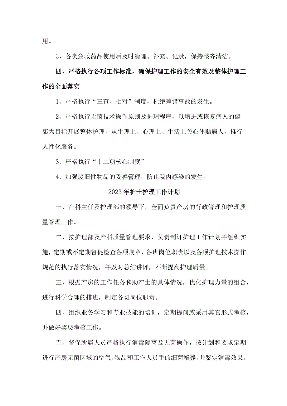 2023年民营医院护士护理工作计划精编4份.docx_第2页