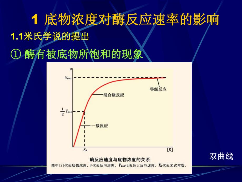 第9章酶促反应动力学.ppt_第3页