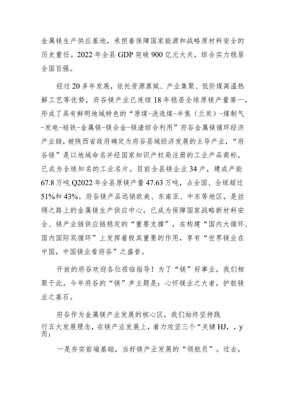 心怀镁业之大者护航镁业之基石——在全国镁行业大会暨镁业分会第二十六届年会上的讲话.docx_第2页