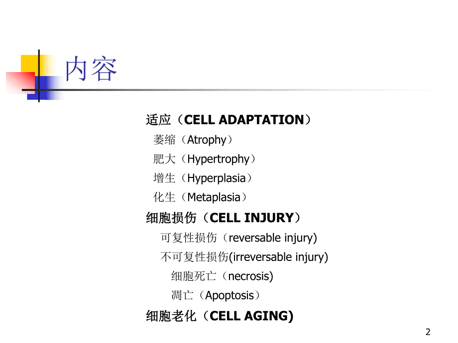第一章细胞的损伤与适应名师编辑PPT课件.ppt_第2页