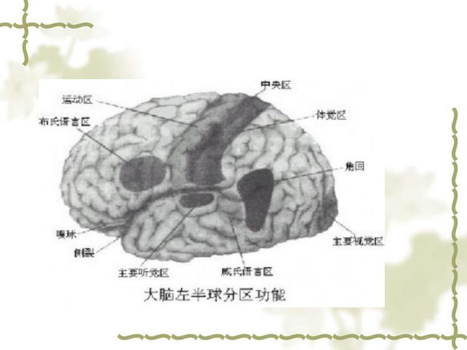 第一章记忆与遗忘.ppt_第1页