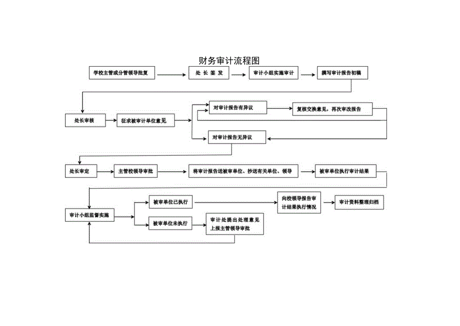 财务审计流程图.docx_第1页