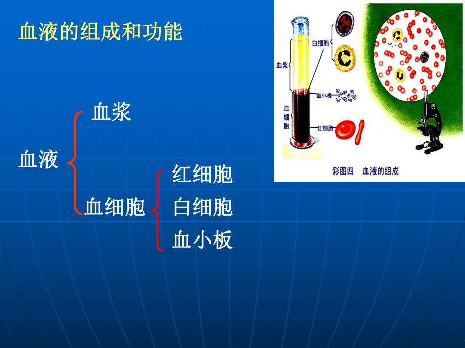 第9章人体内的物质运输.ppt_第3页