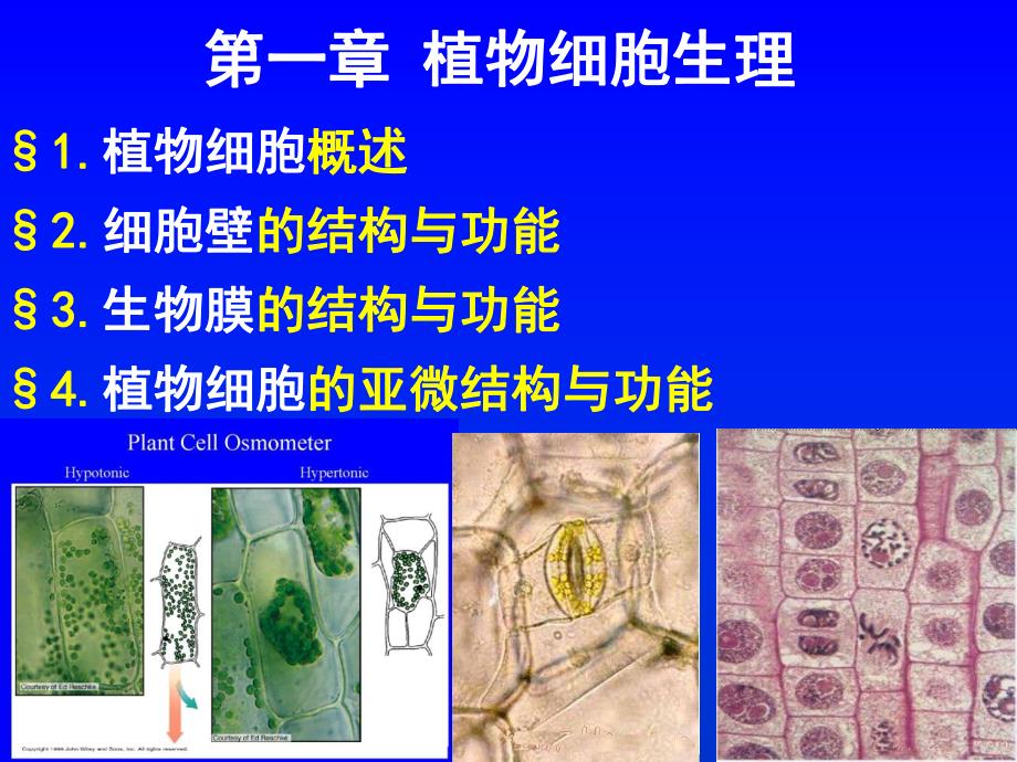 第一章土壤养分.ppt_第1页