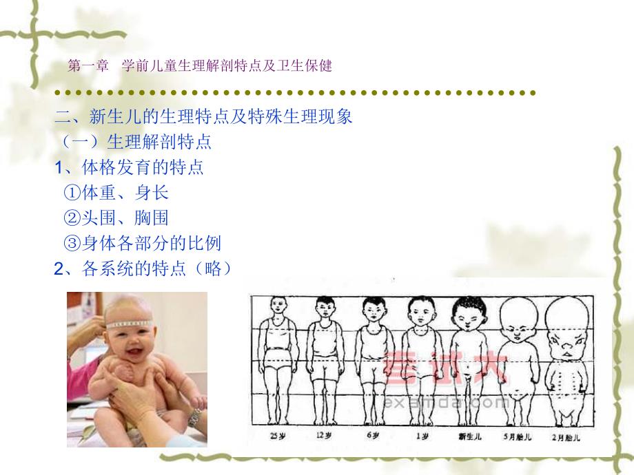 第一章学前儿童生理解剖特点及卫生保健名师编辑PPT课件.ppt_第2页