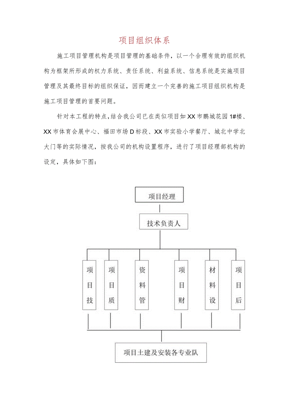 项目组织体系.docx_第1页