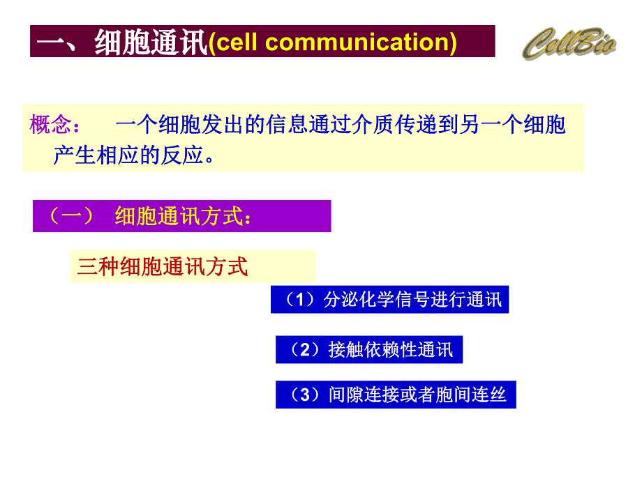 第9章信号传导.ppt_第3页