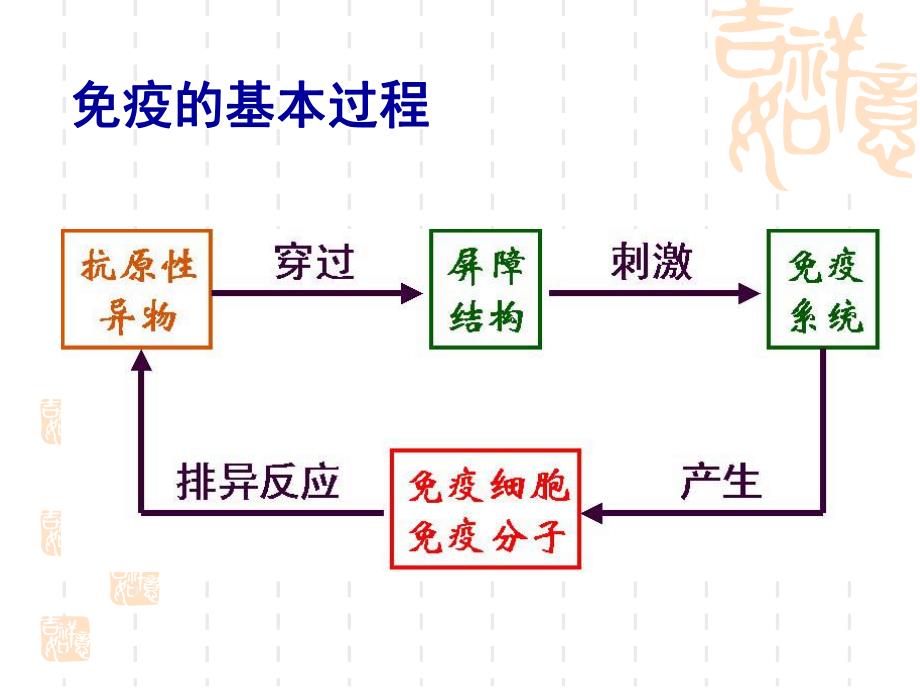 第一章抗原.ppt_第2页