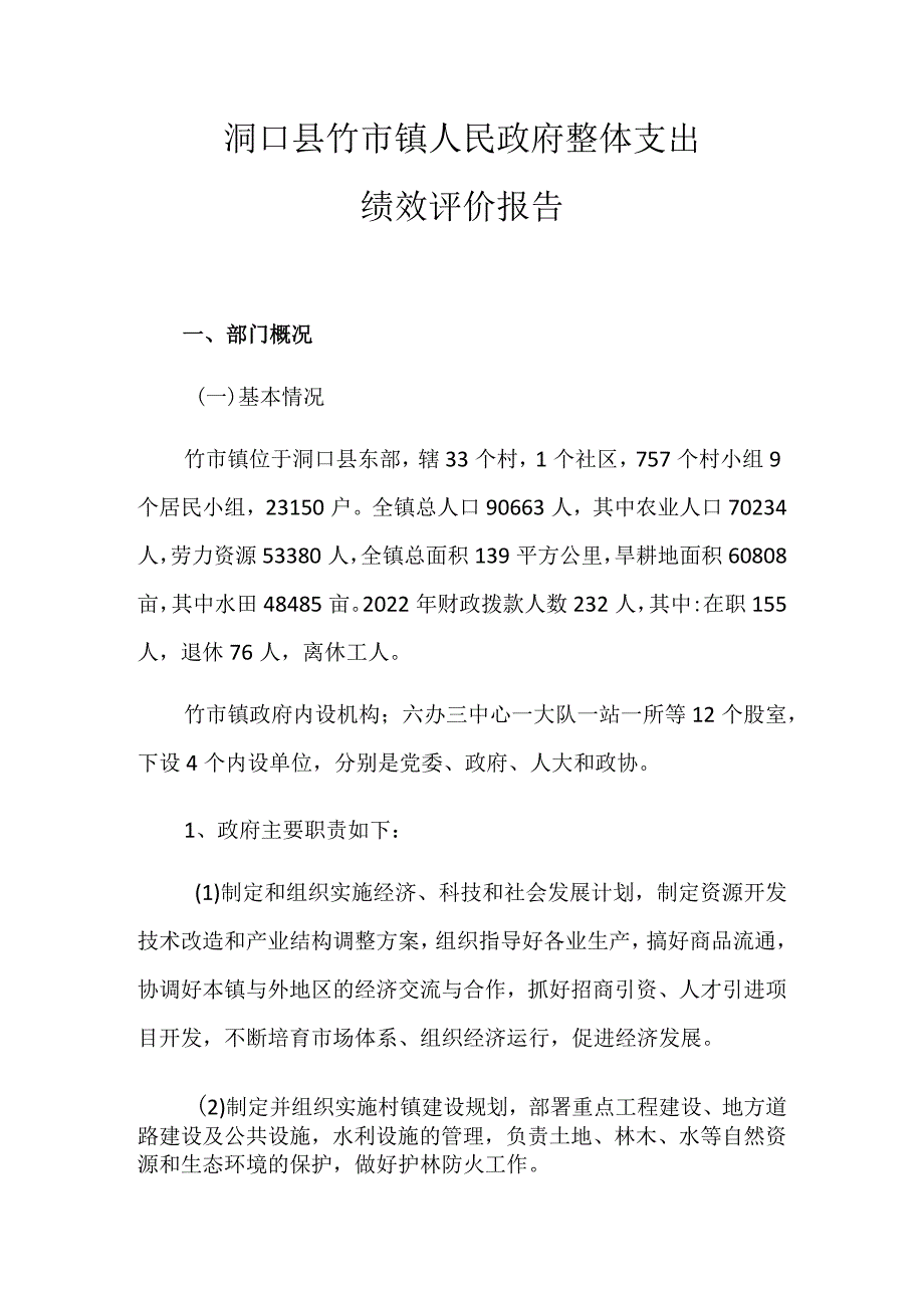 洞口县竹市镇人民政府整体支出绩效评价报告.docx_第1页