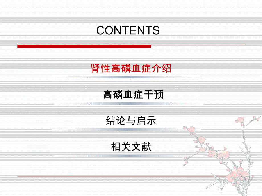 慢性肾病高磷血症.ppt.ppt_第2页