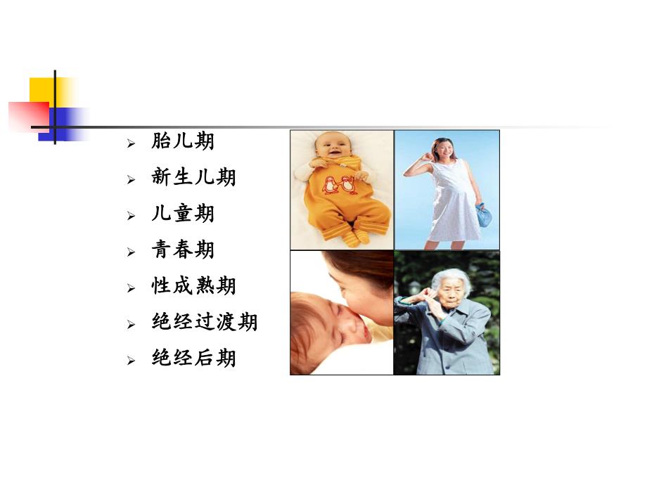 女性生殖内分泌基础知识及常见疾病的治疗精要.ppt_第3页