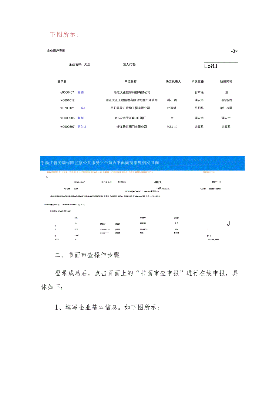 网上书面审查操作手册.docx_第2页