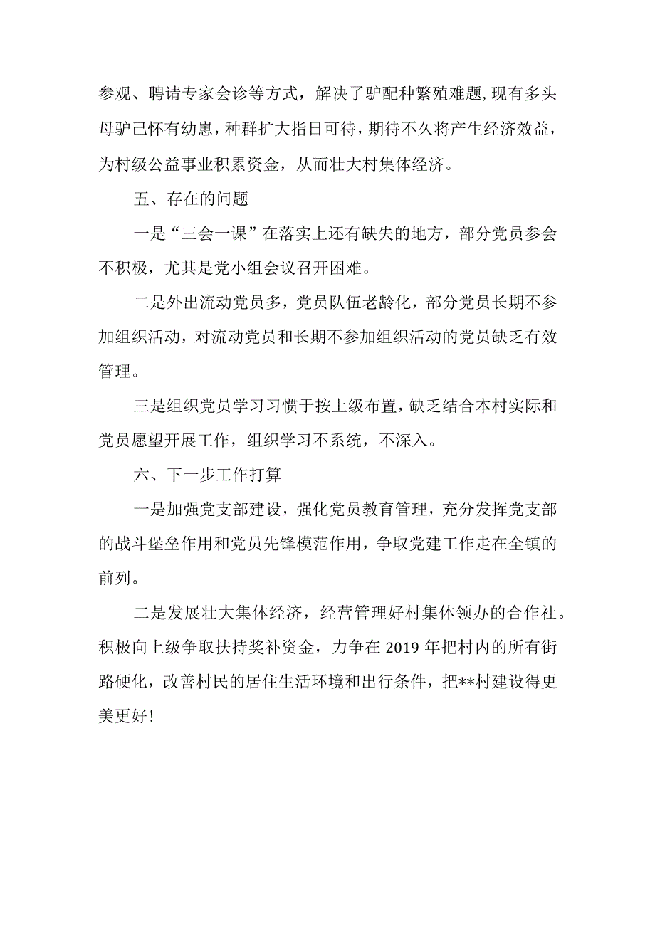 村党支部书记述职报告.docx_第3页