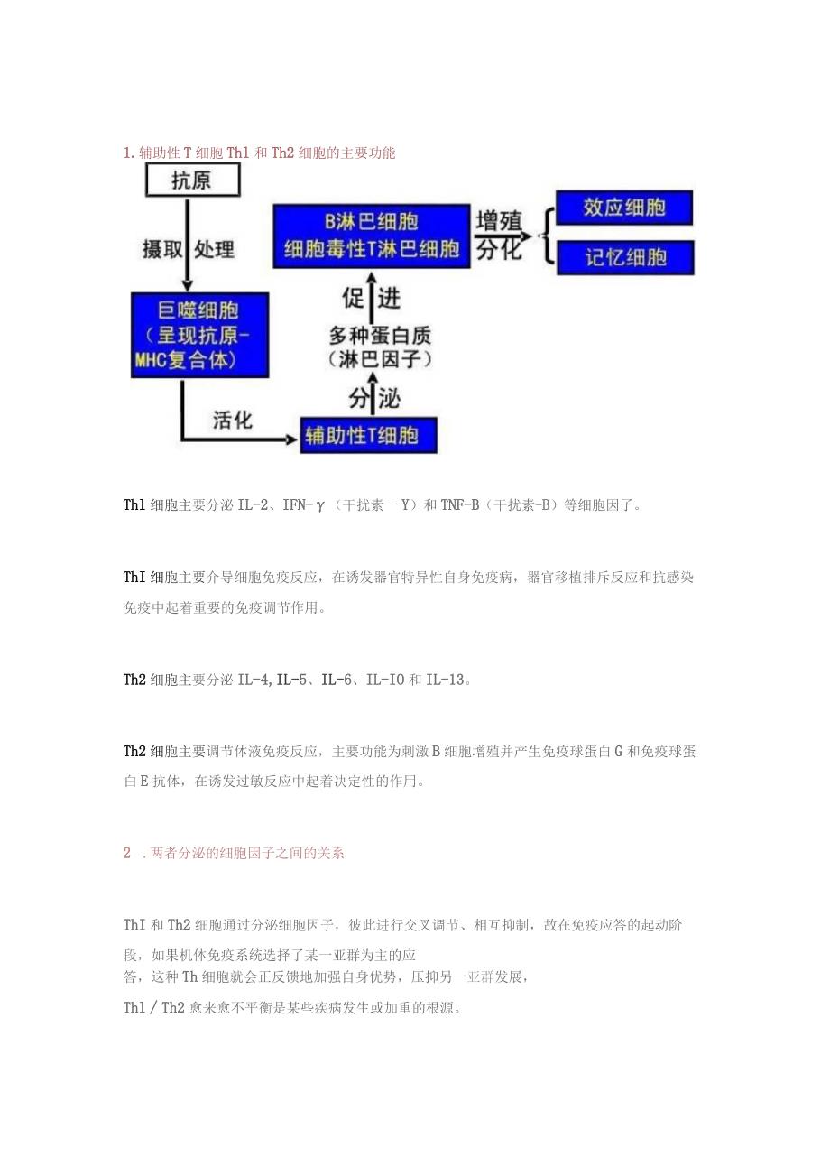 辅助性T细胞的种类和作用.docx_第3页