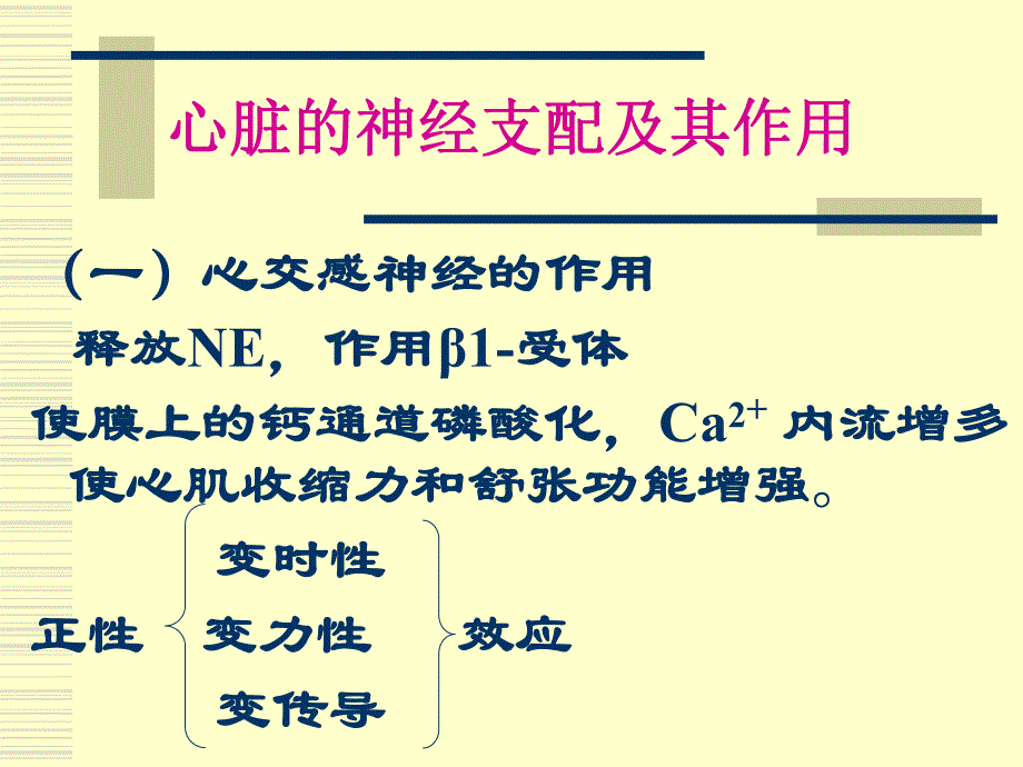 生理学心血管活动调节.ppt_第3页