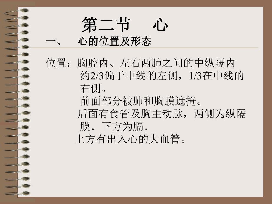 心脏结构及功能.ppt_第2页