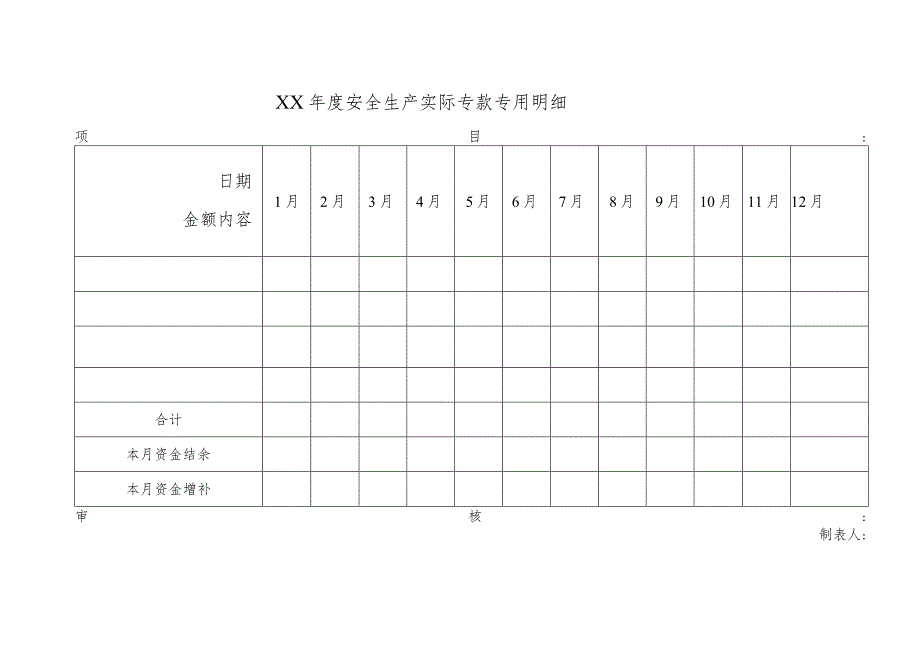 年度安全生产实际专款专用明细.docx_第1页