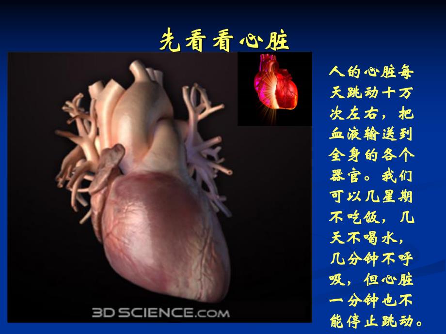 揭密冠心病的介入治疗.ppt_第3页