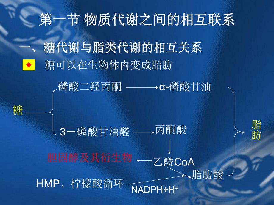 第12章物质代谢调控.ppt_第3页