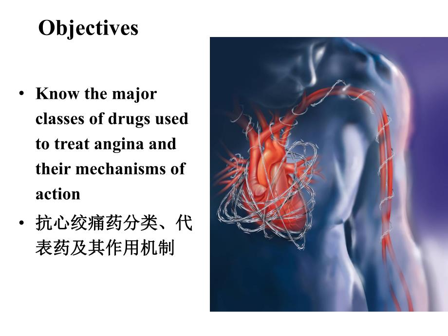 抗心绞痛药.ppt_第2页