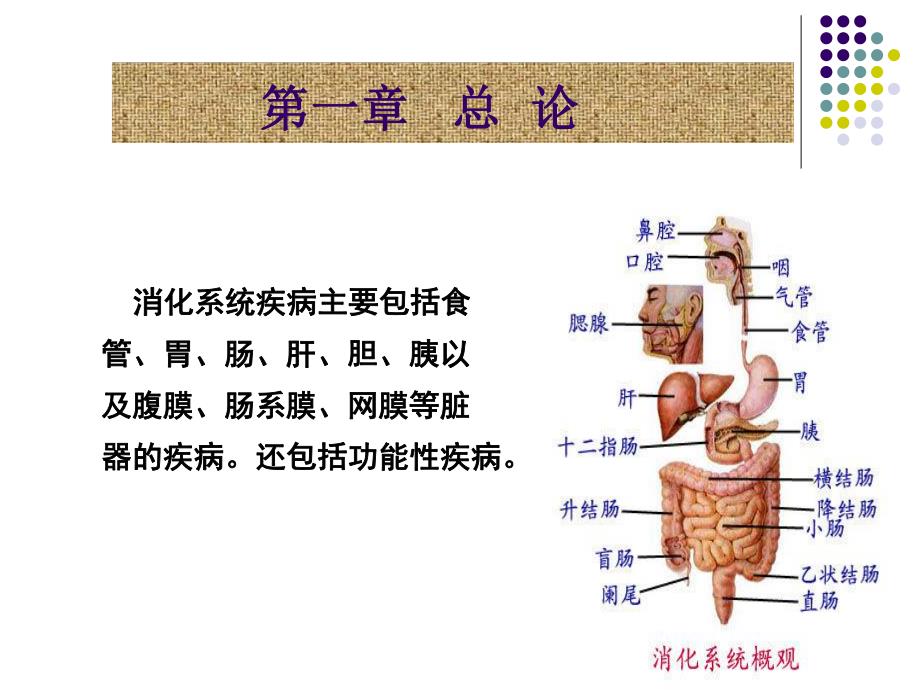 总论胃炎.ppt_第2页