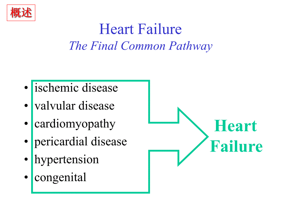 病理生理第15章 心力衰竭.ppt_第2页