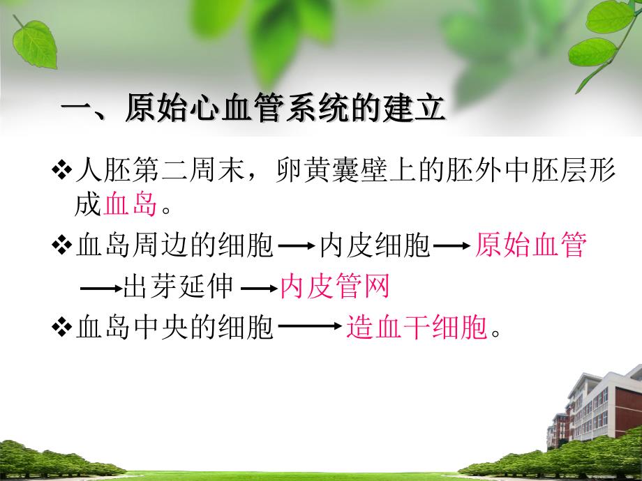 心血管系统发生.ppt_第2页