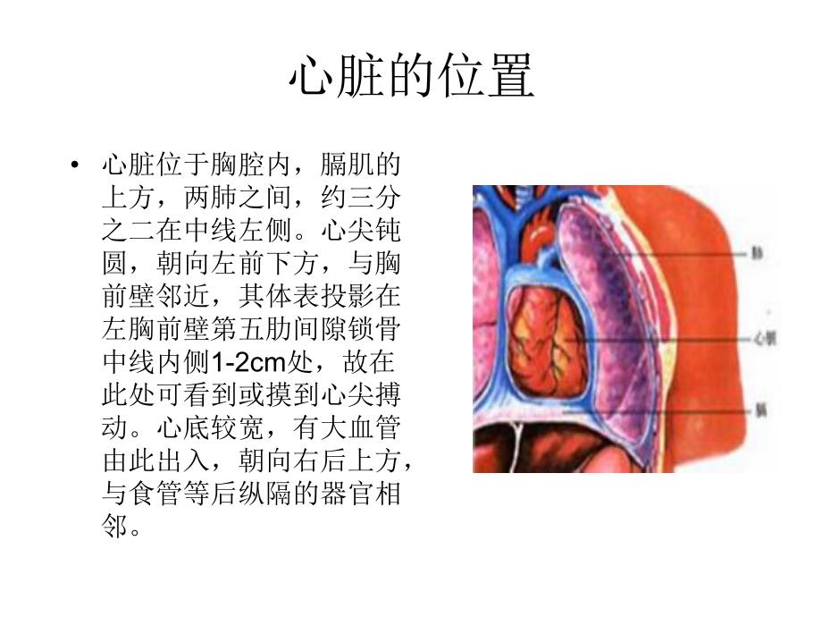 心绞痛.ppt.ppt_第2页