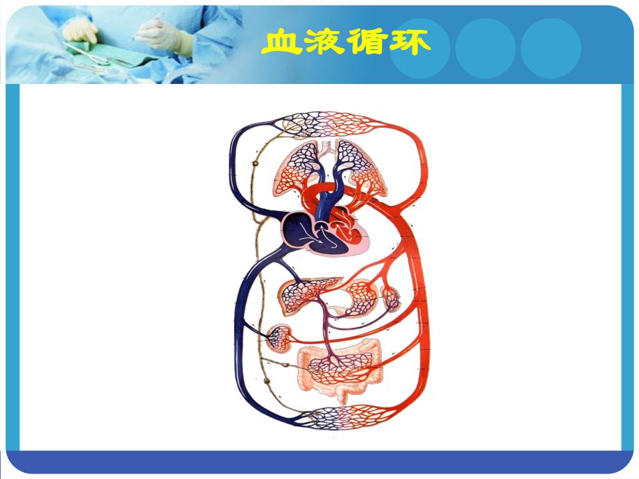 社区高血压健康教育.ppt_第3页