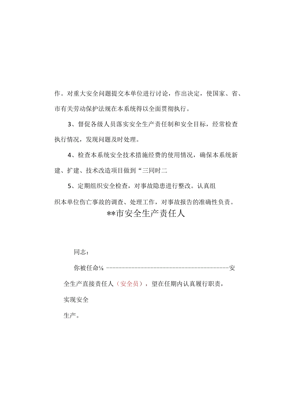 安全责任人任命书.docx_第3页