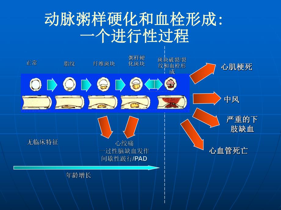 泰嘉硫酸氢氯吡格雷.ppt_第3页