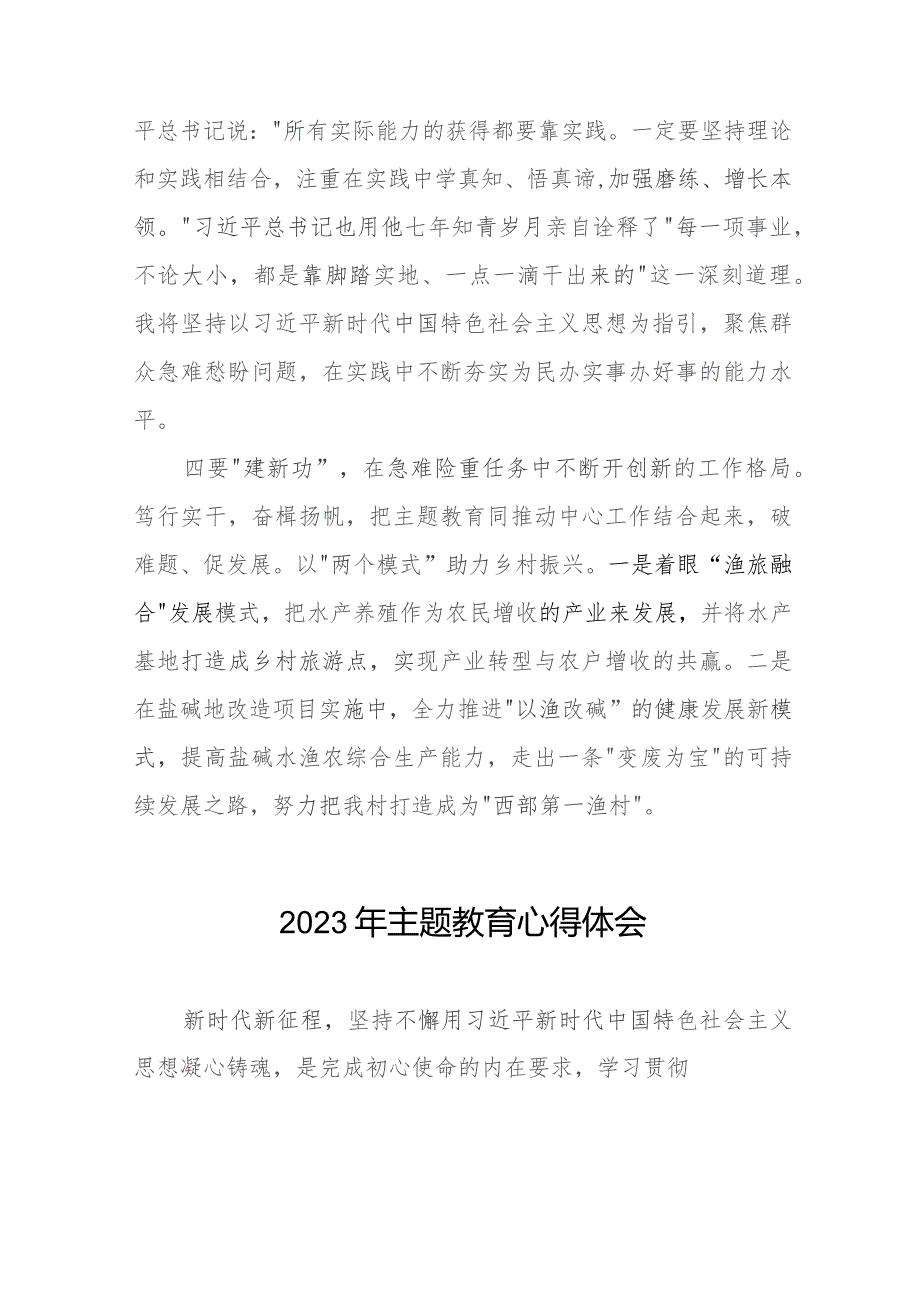 村党支部书记2023年主题教育心得体会十篇.docx_第2页