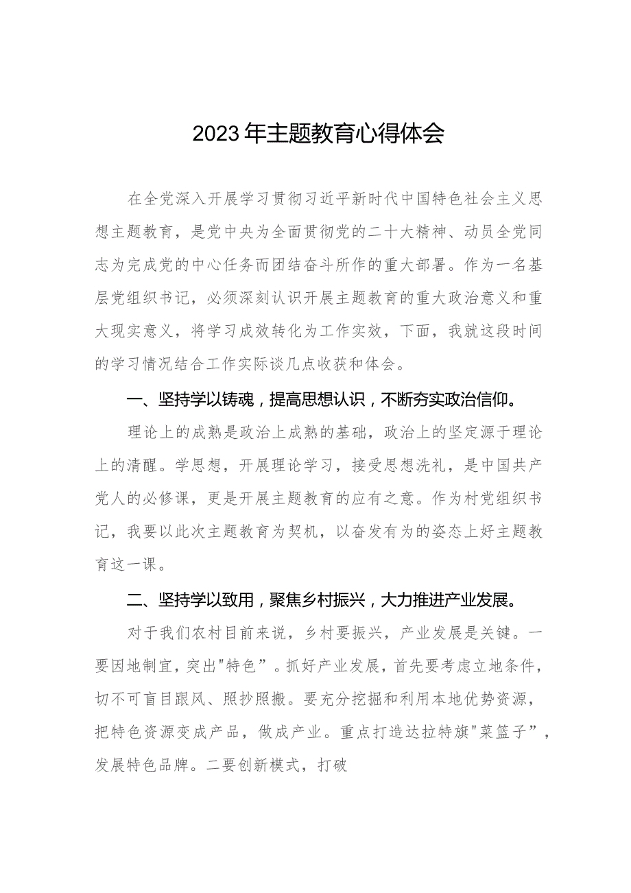 基层党组织书记2023年主题教育心得体会十篇.docx_第1页