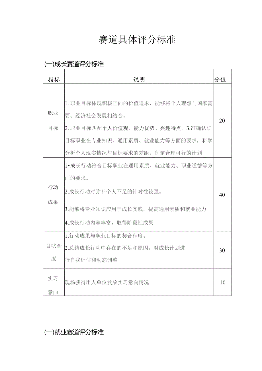 赛道具体评分标准.docx_第1页