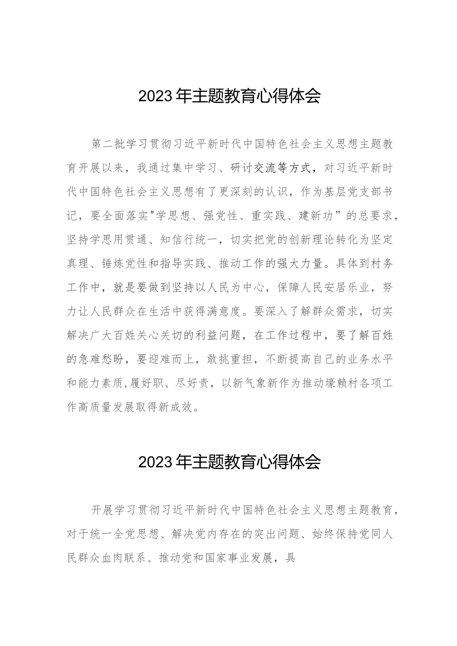 村长2023年第二批主题教育学习心得体会七篇.docx_第1页