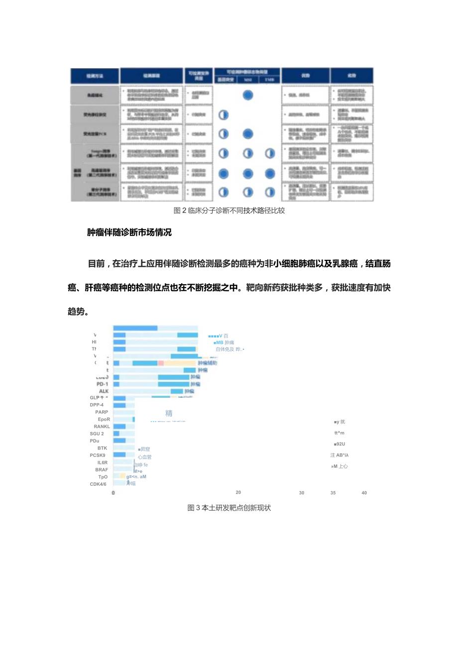 肿瘤伴随诊断行业发展现状.docx_第3页