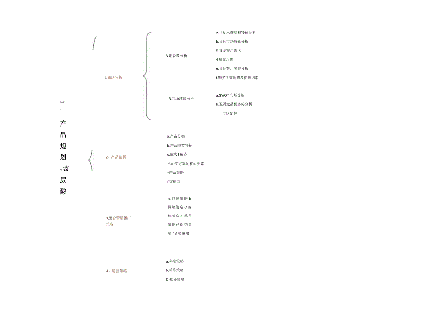 医美整形玻尿酸项目产品规划方案.docx_第1页